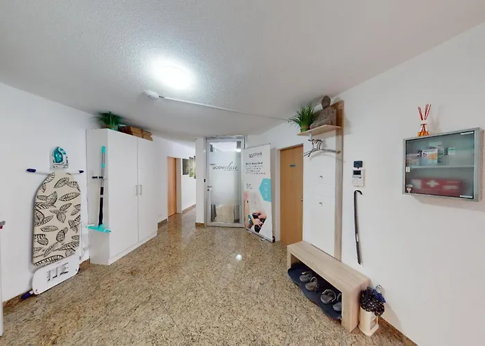 Ueber Den Daecher Von *