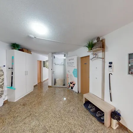 Ueber Den Daecher Von *